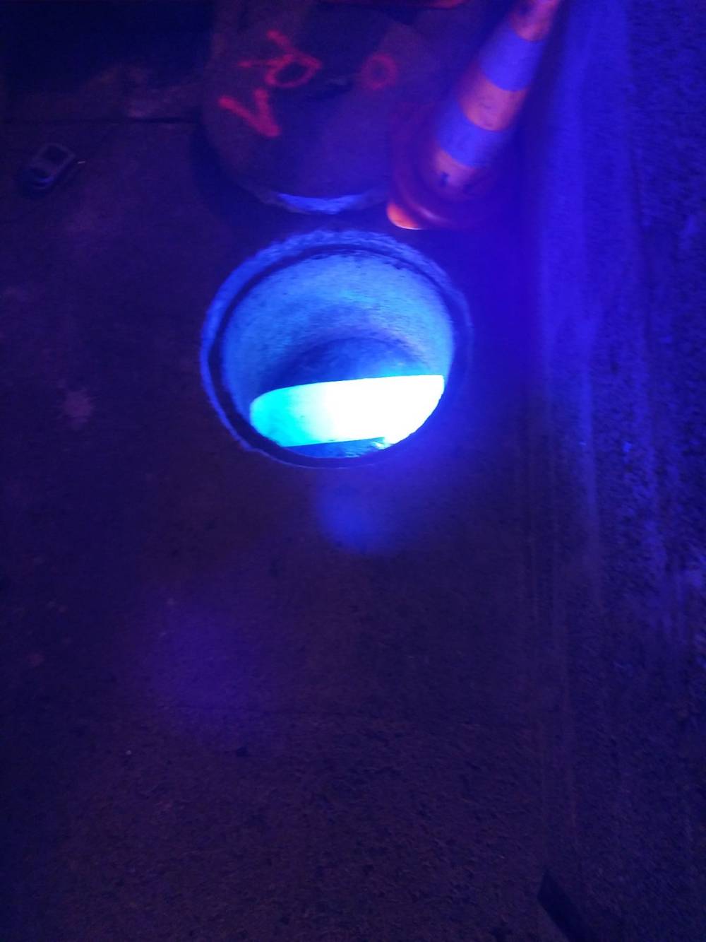 DSCF3444